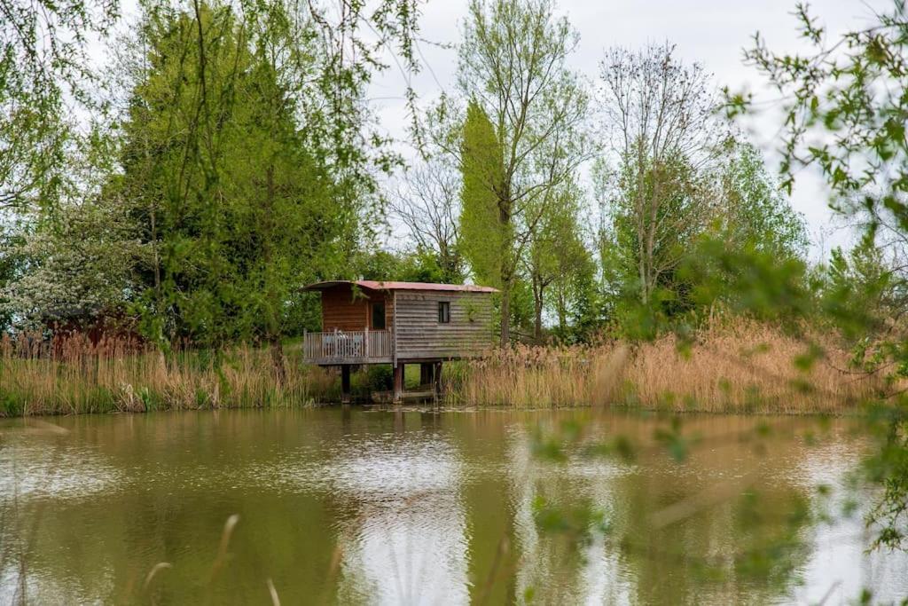 Lakeside Cabin On Stilts- 'Kingfisher' Rous Lench Dış mekan fotoğraf